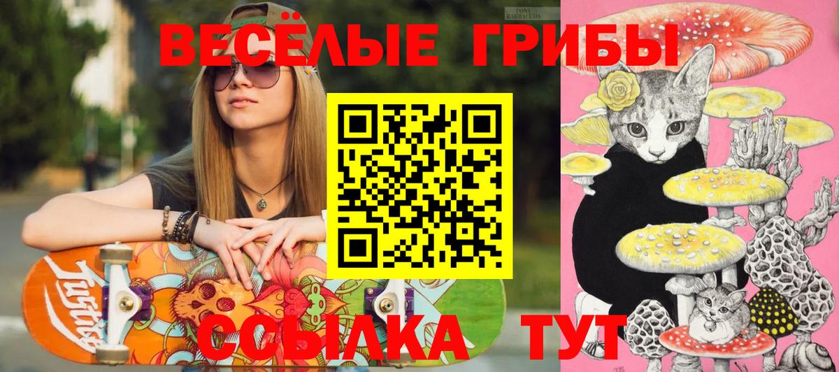 Галлюциногенные грибы Cubensis Соль-Илецк